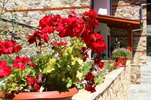 Guesthouses Prav Kamen