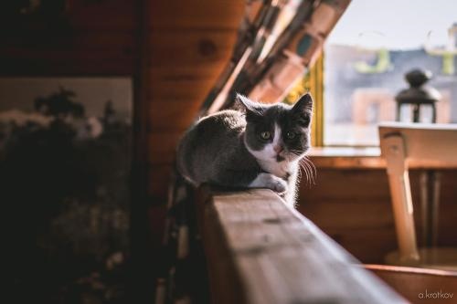 Guesthouse Voskresenie