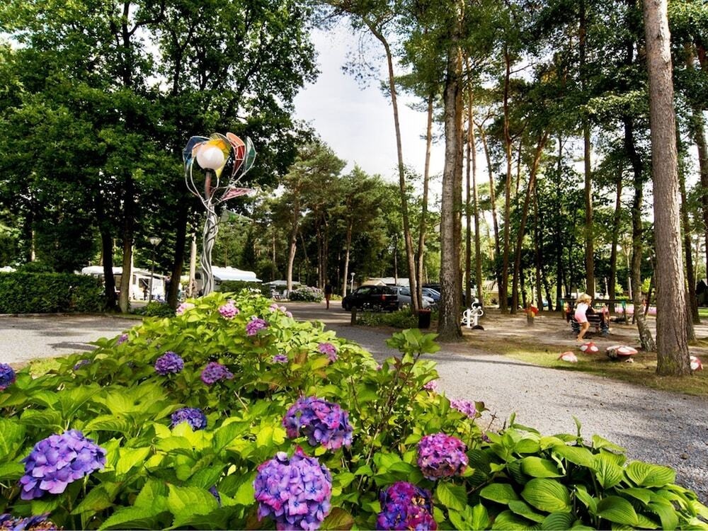 Cosy Detached Chalet With A Terrace Near Oisterwijkse Vennen