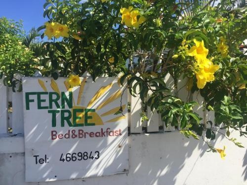 Fern Tree Bed And Breakfast
