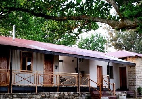 John Jack 6 McCloud's Accommodation