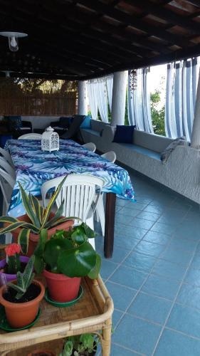 La Sirena Della Baia