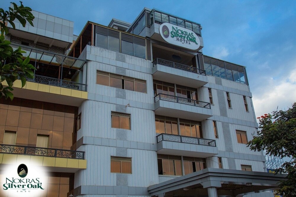 Nokras Siver Oak Embu