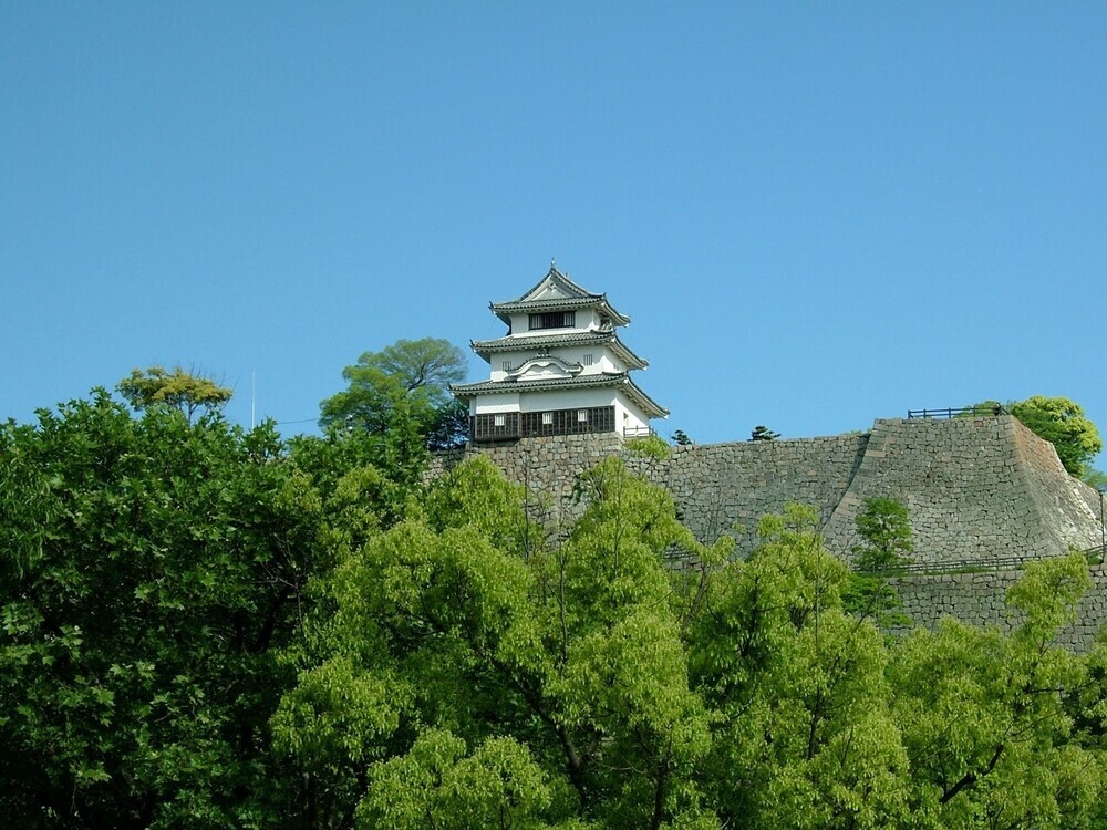marugamenoyadosawai