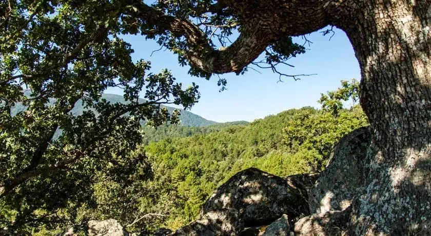 La Taverna dei Briganti