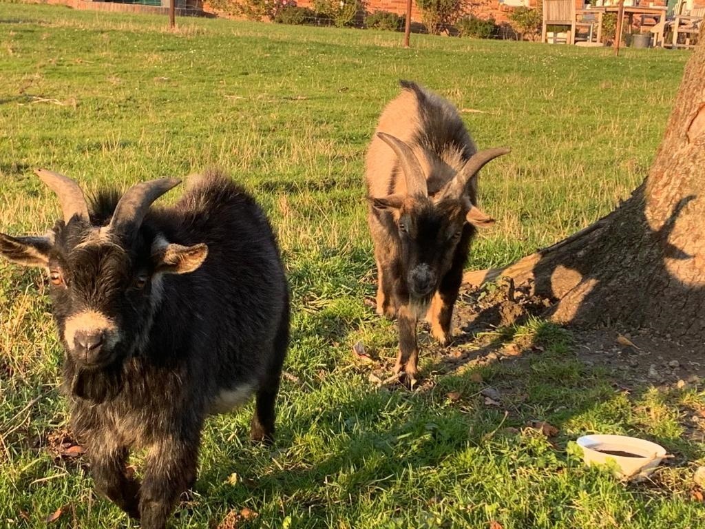 Ferienwohnung Suderfeld