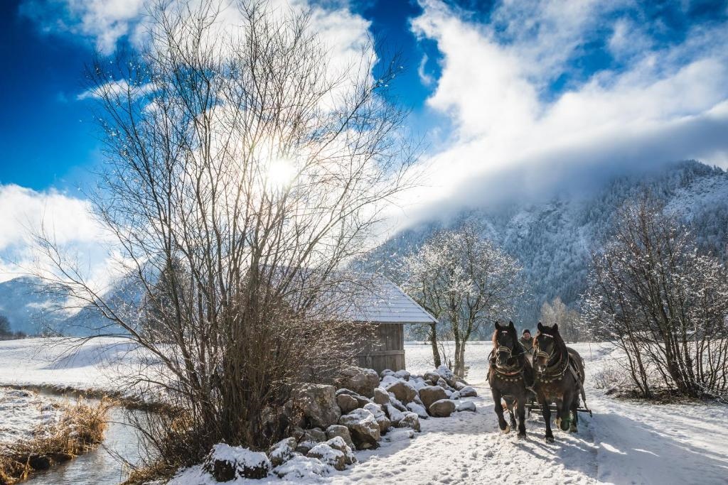 Ferienwohnungen Haus Mindermann