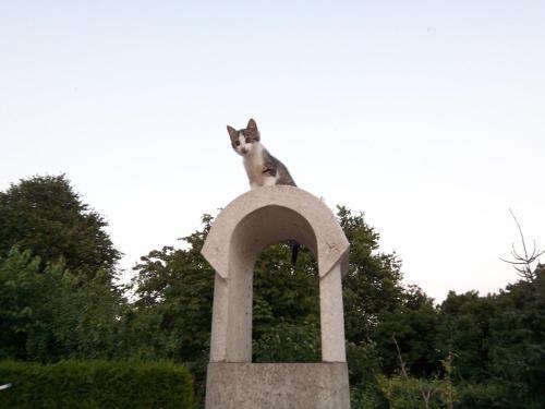 Ferienwohnungen Born