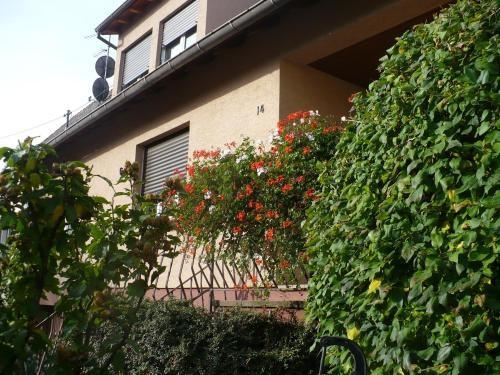 Gite Les Perles du Vignoble