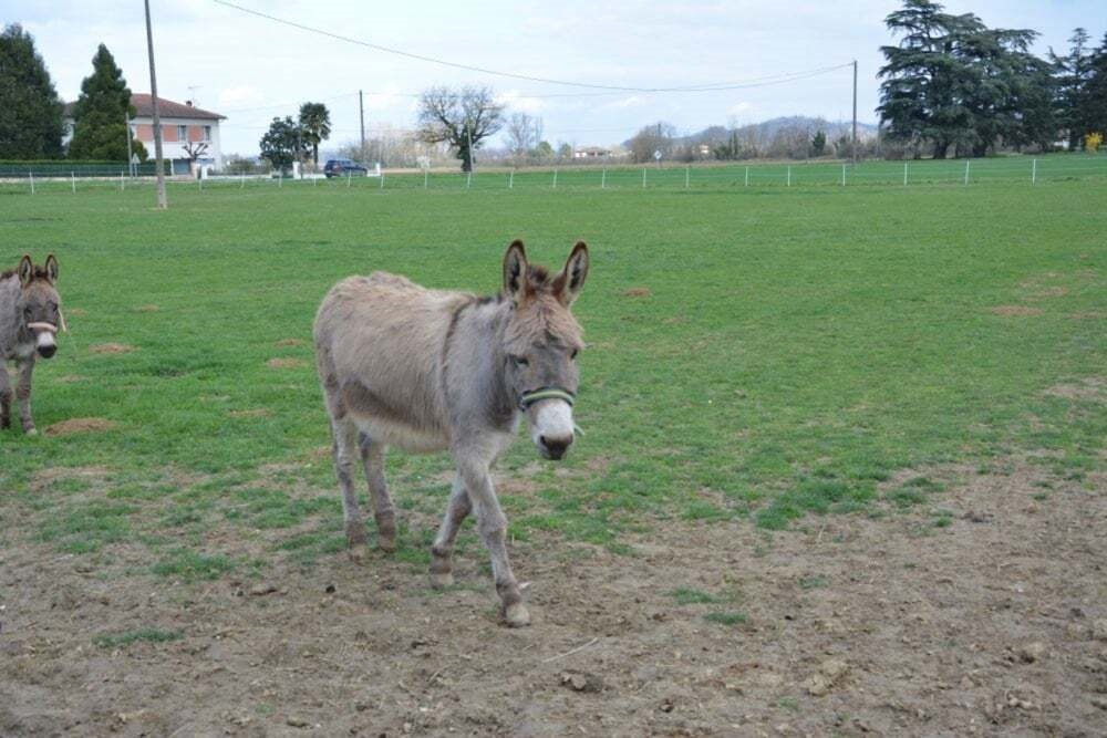 Gite du Pont du Bartac