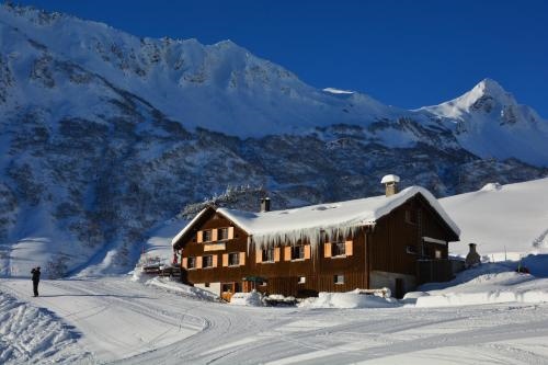 Alm-Chalet Domig