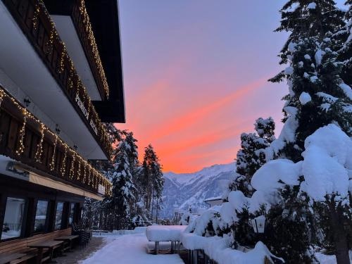 Pension & Restaurant Alpina