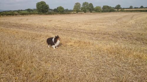 Grove Wellness Centre