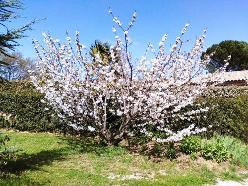 Holiday Home Lotissement De L'auxineill