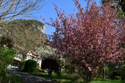 Gîte Domaine Du Théron