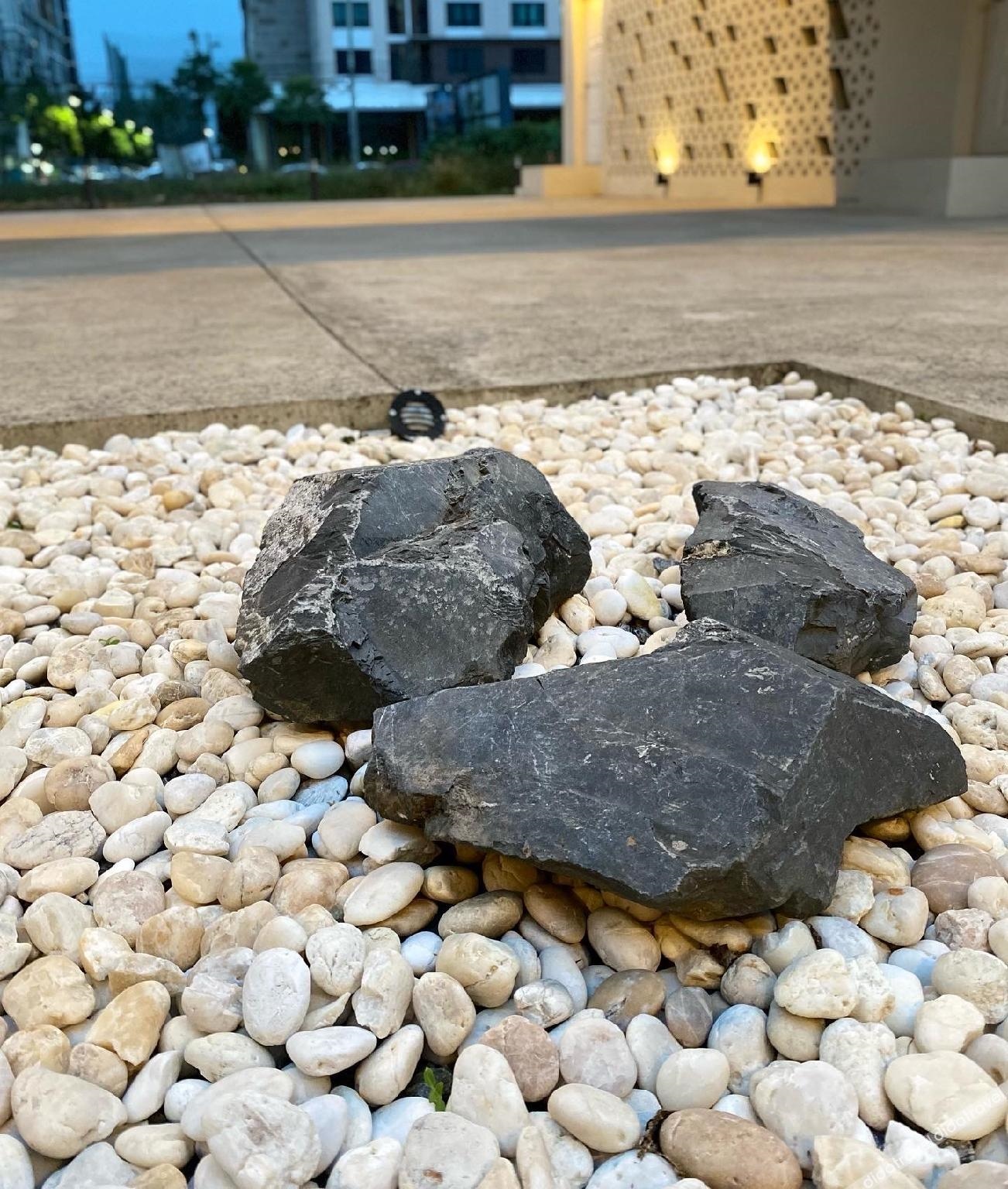 TAP the room project