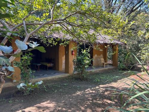 Kamp Kamouflage Kanha