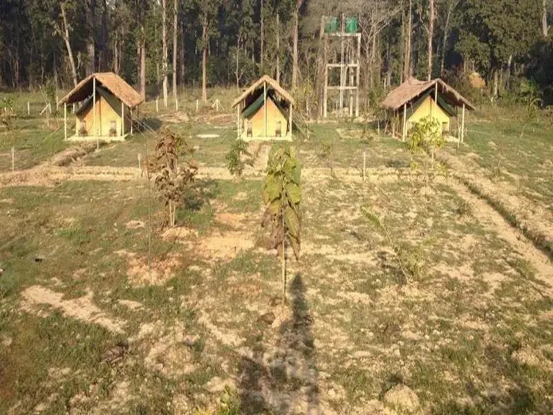 Karnali Jungle Camp