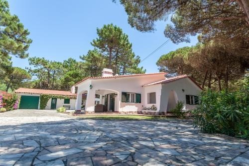 Ocean, Pines and Mountain