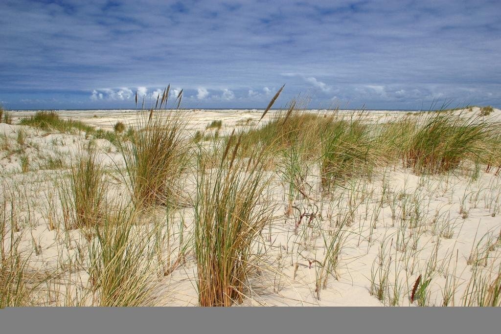 Hotel Kunstlerherberge