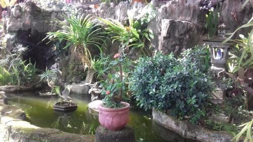 Kusuma Jaya On The Hill