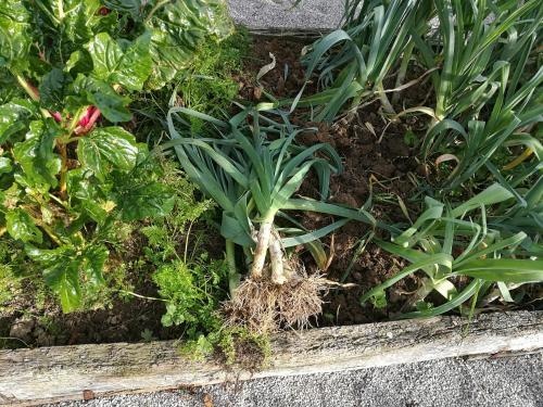 Las Azadas Alojamiento Rural