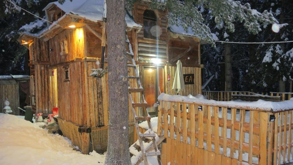 Lodge Between The Pine Trees