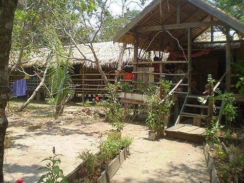 Manaus Jungle Hostel