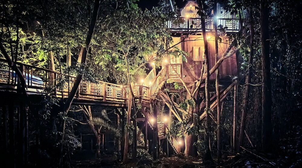 Tree House With A Pool