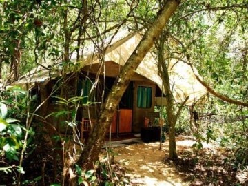 Mahoora Tented Safari Camps – Dambana