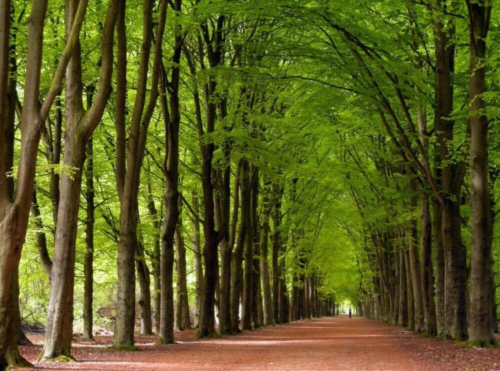 Luxorious Villa s for 22 Persons