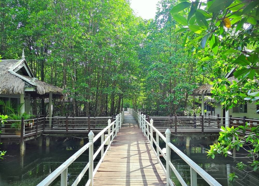 Mangrove Sanctuary Resort