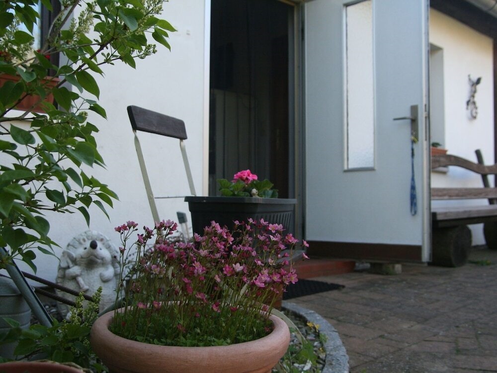 Luxurious Holiday Home In Gersdorf With Trampoline