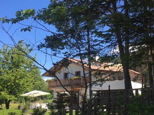 Ly's Nest