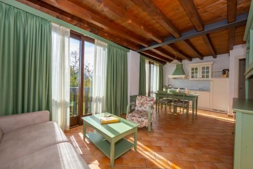 Mimosa In Hilly Area