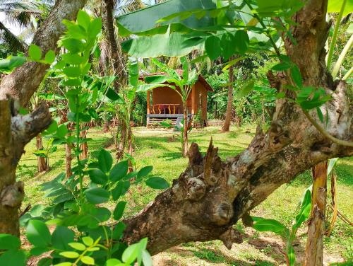 Milk House Cottage Udawalawe