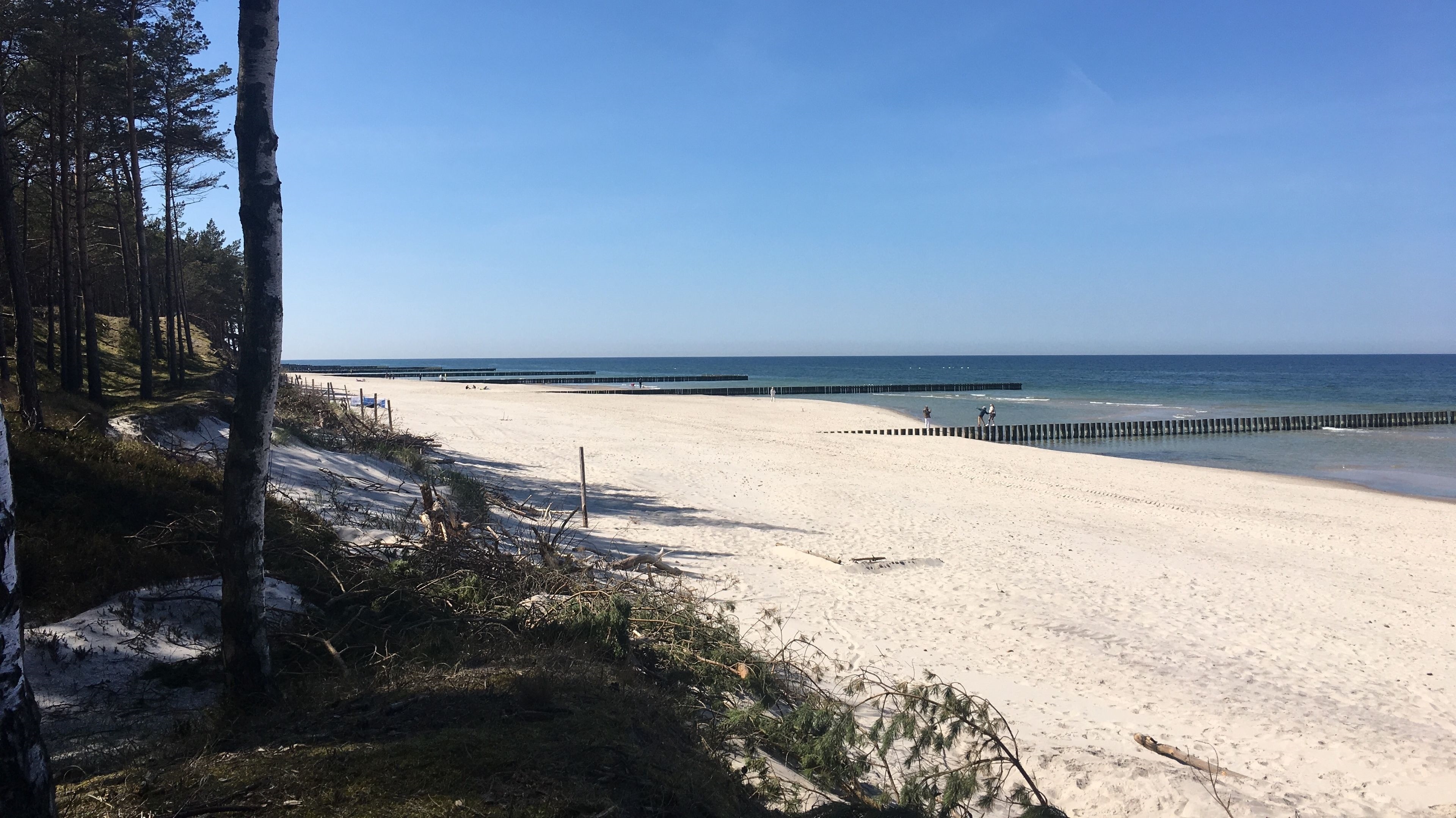 Magnolia Guest House