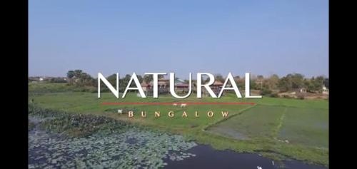 Natural Bungalows