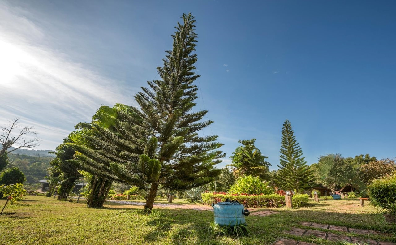 Mondulkiri Hotel