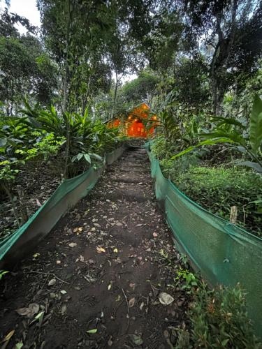 Mountainmist Wooden Cottages