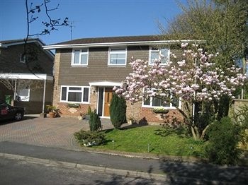 Oak Tree House