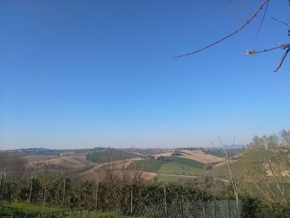 Il Gallo Silvestre Bed & Books