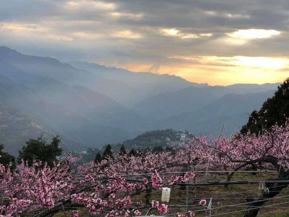 New Century Farm Stay