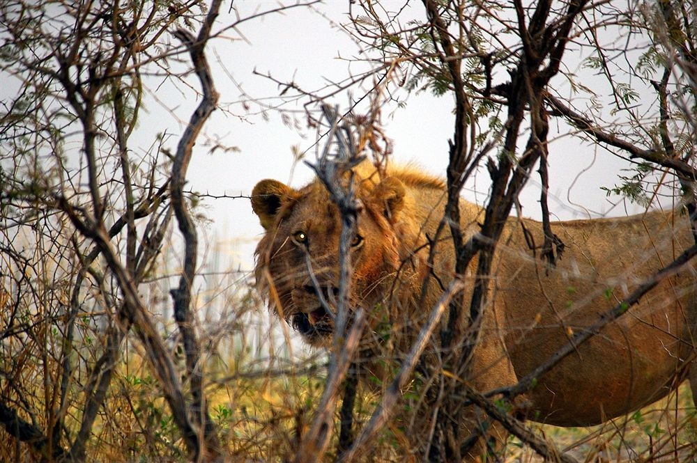 Hotel Namushasha Country Lodge