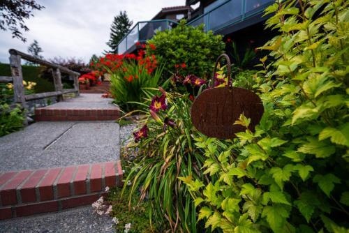 Olympic View Cottage