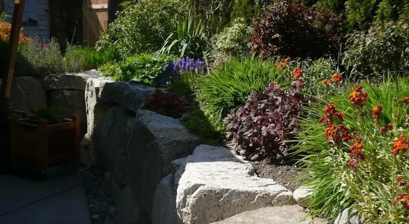 Pacific Heights Bed & Breakfast