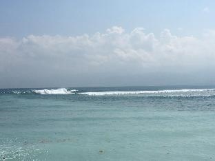 Penginapan Jokowi Krui Redpartner