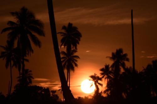 Port Olry Harbour Beach