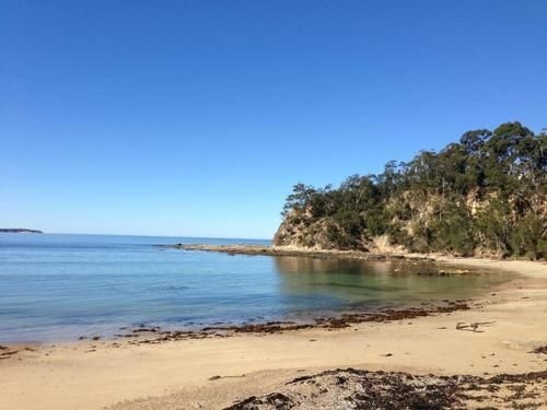 Pleasurelea Tourist Resort and Caravan Park