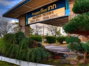 Peppertree Inn